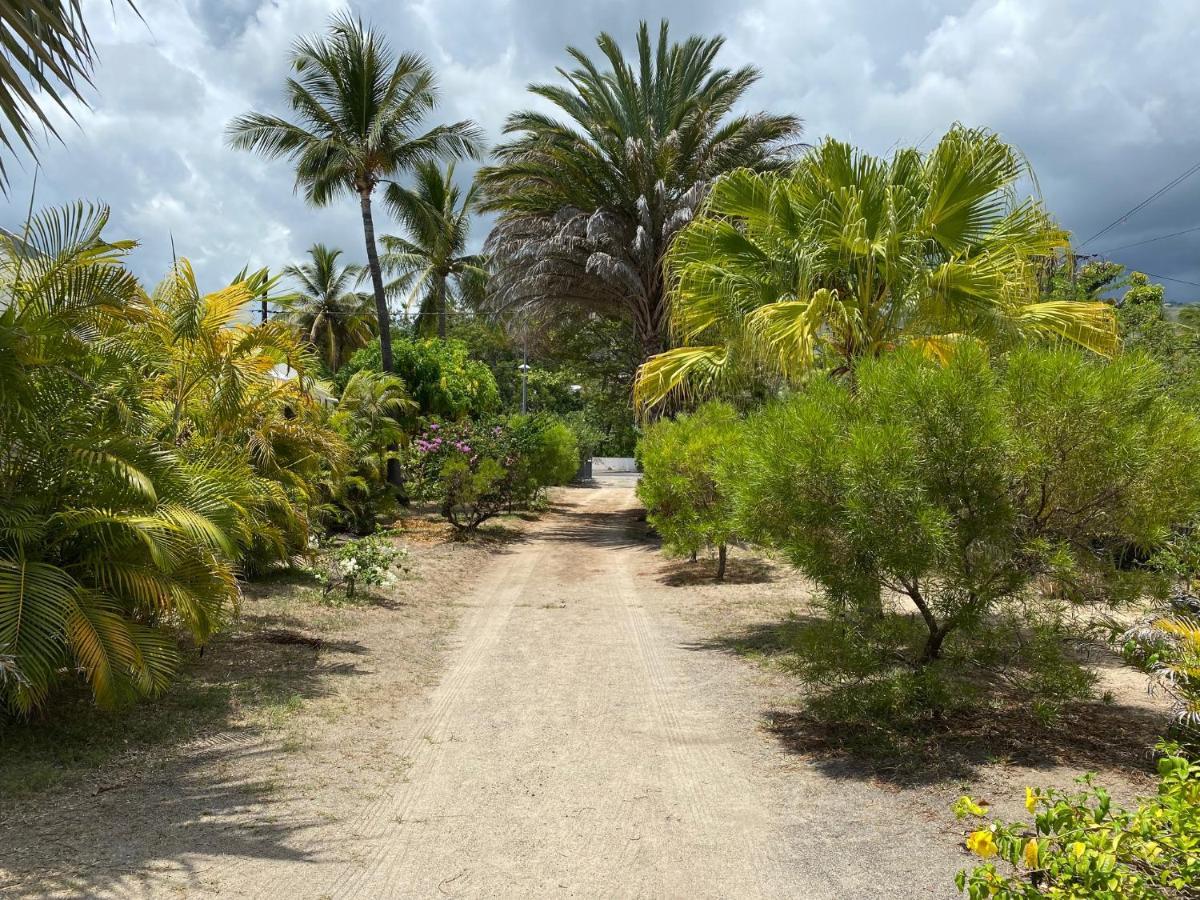Villa & Bungalow 'Coco Des Sables' Les Pieds Dans L'Eau ลาซาลีน เลอแบ็ง ภายนอก รูปภาพ