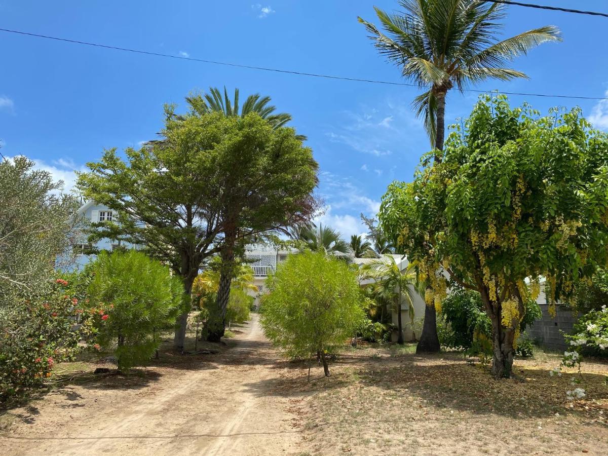 Villa & Bungalow 'Coco Des Sables' Les Pieds Dans L'Eau ลาซาลีน เลอแบ็ง ภายนอก รูปภาพ